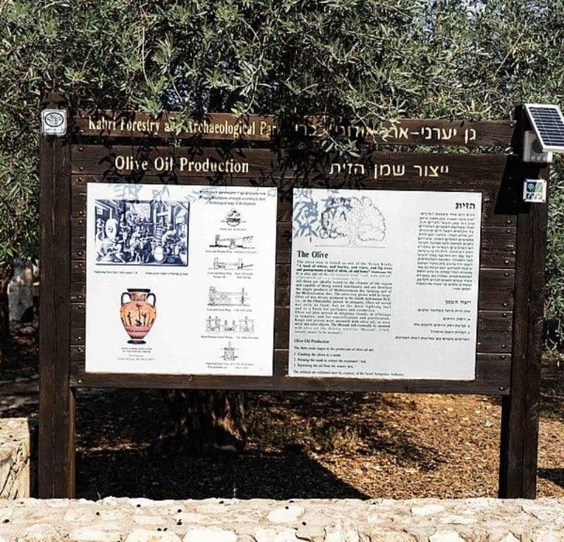 גן יערני ארכיאולוגי