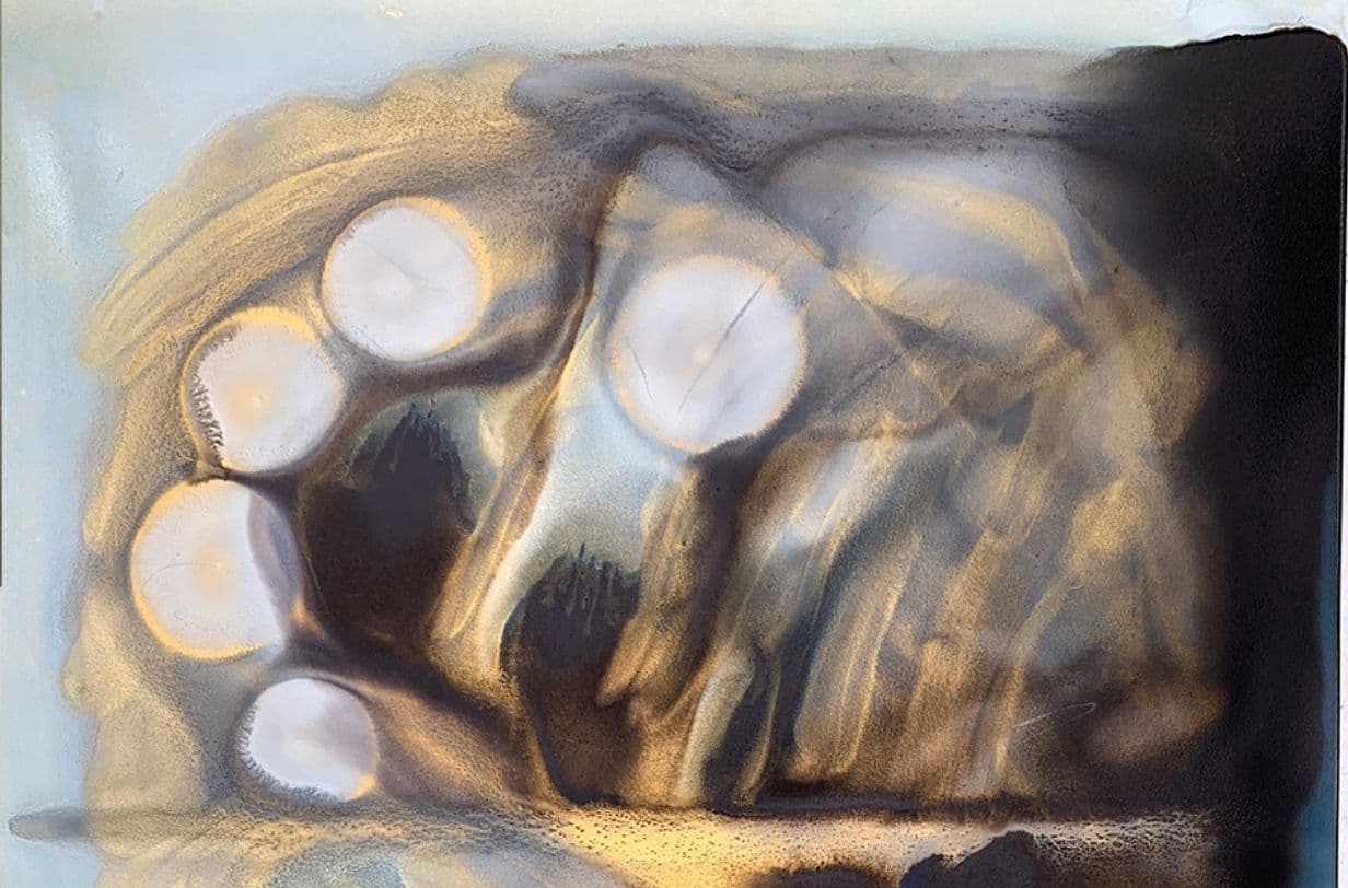 תערוכה של קים גולדברג