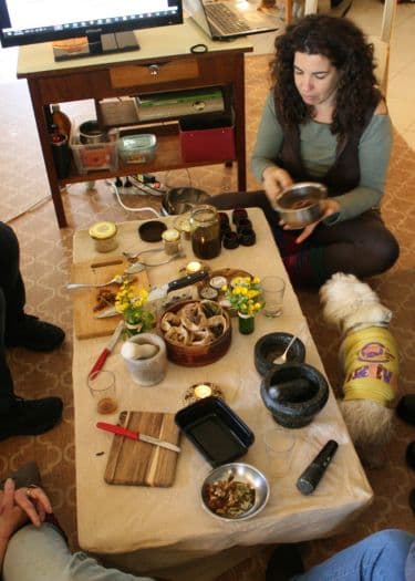 Winter Workshop in the Spirit of Ayurveda