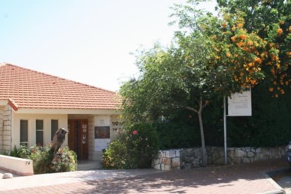 גלריה טל